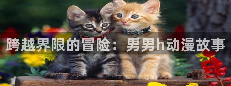 动漫动漫之家：跨越界限的冒险：男男h动漫故事