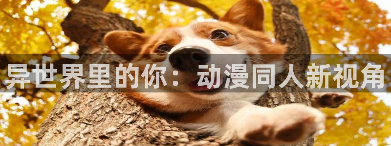 178动漫之家：异世界里的你：动漫同人新视角