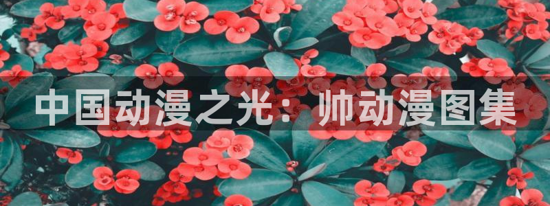 动漫之家最新版本