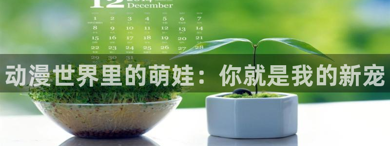 动漫之家官网人口：动漫世界里的萌娃：你就是我的新宠
